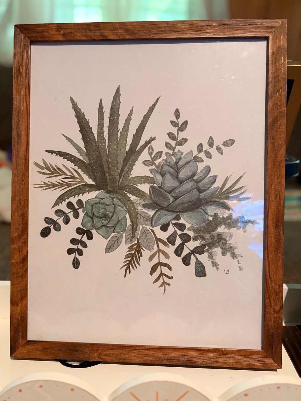Framed Succulent Botanical Print